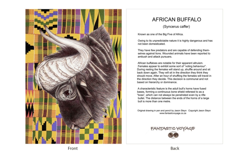 DesignerD100101 Buffalo Gift Card