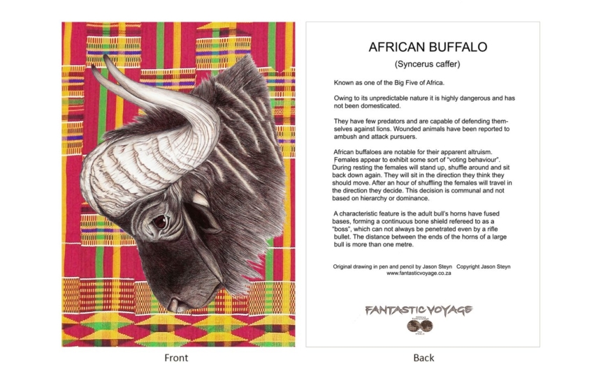 DesignerD100102 Buffalo Gift Card