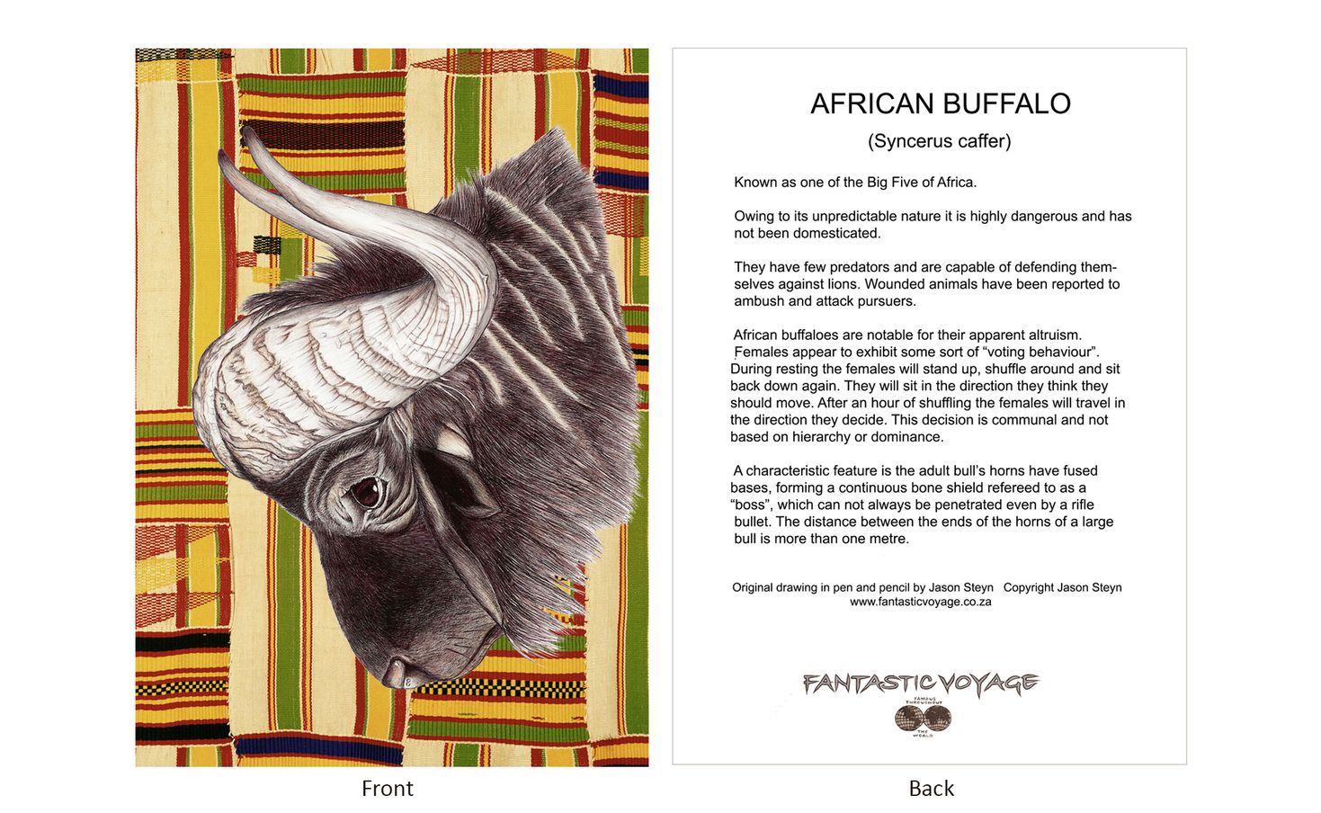 DesignerD100103 Buffalo Gift Card