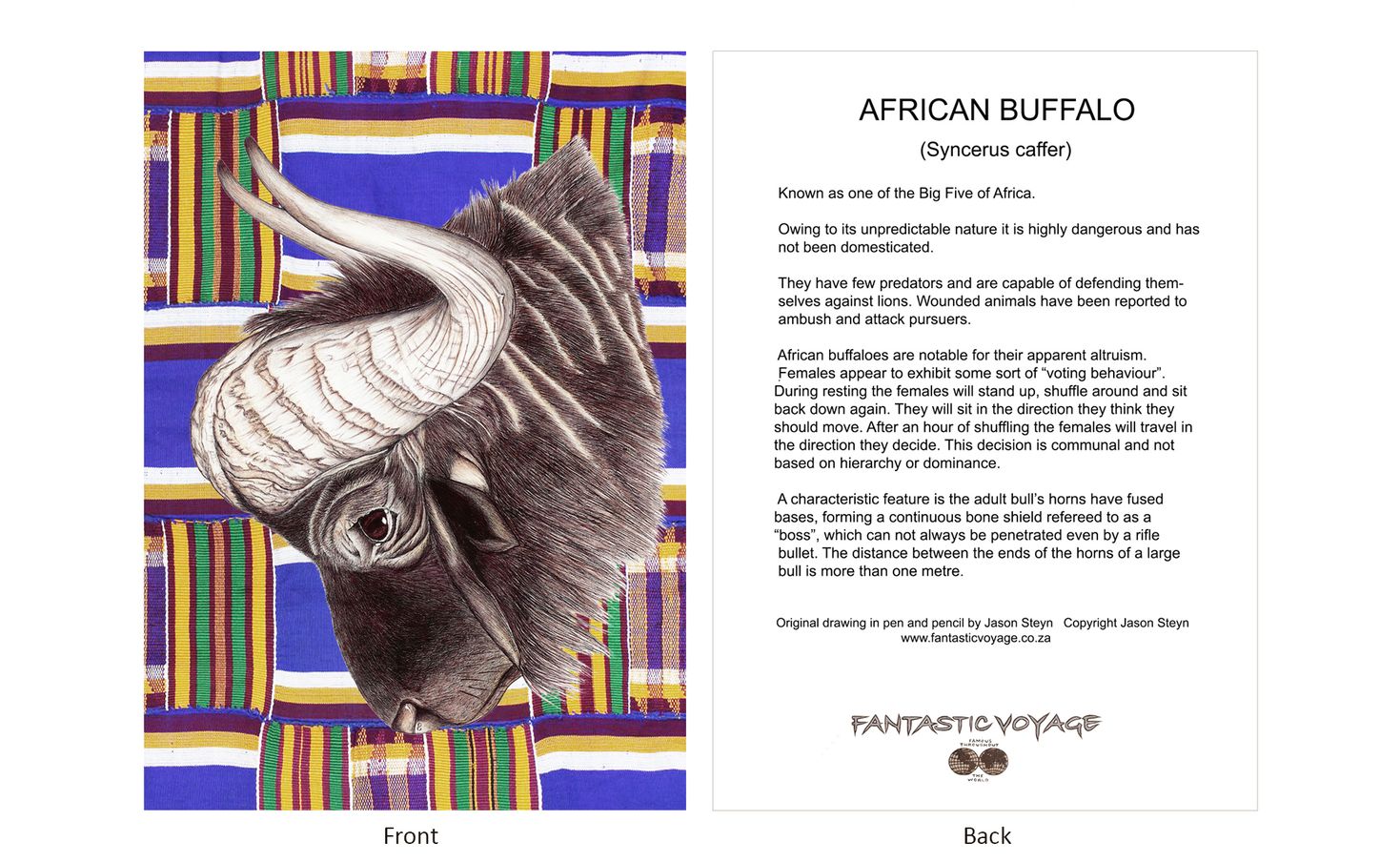 DesignerD100104 Buffalo Gift Card