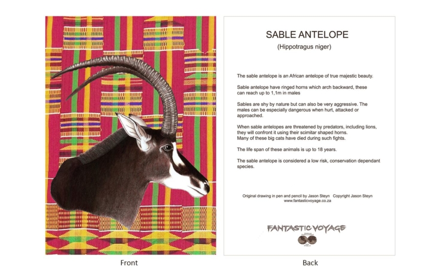 DesignerD110102 Sable Gift Card