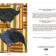DesignerD500203 Guinea Fowl Gift Card
