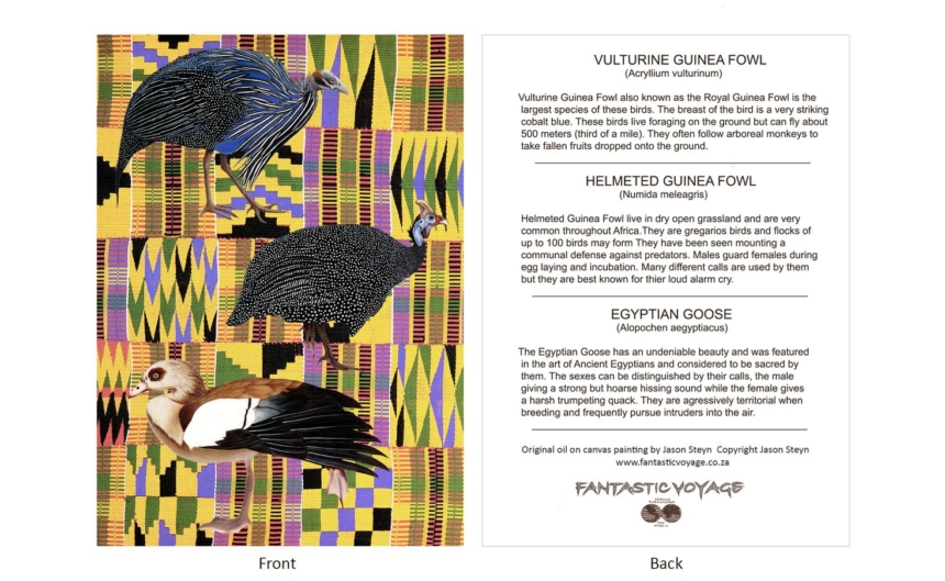 DesignerD500501 Guinea Fowl Gift Card