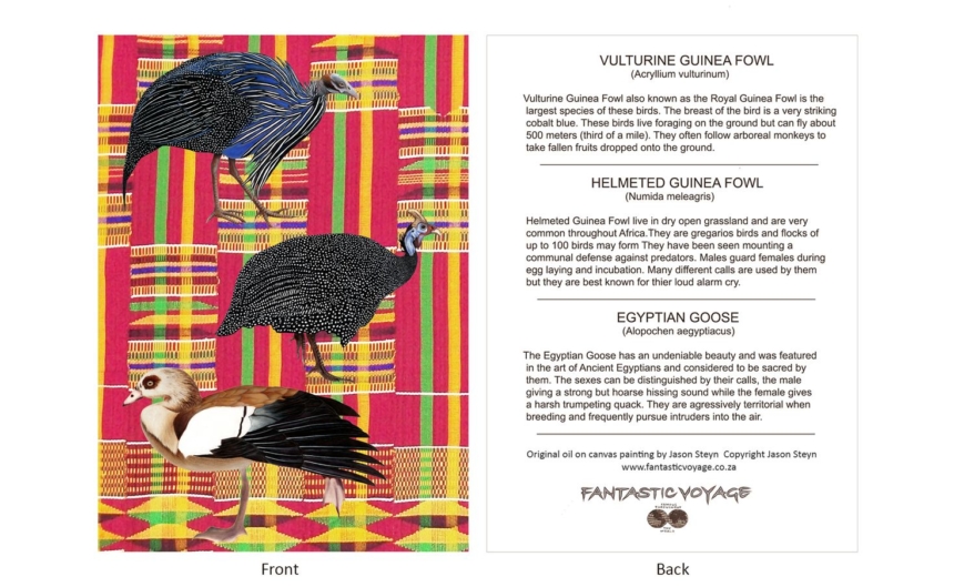 DesignerD500502 Guinea Fowl Gift Card