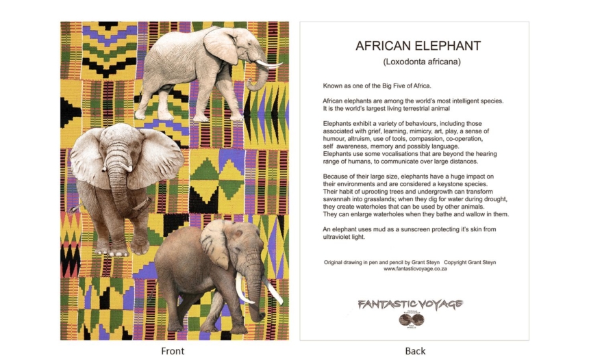 DesignerD820201 Elephants Gift Card
