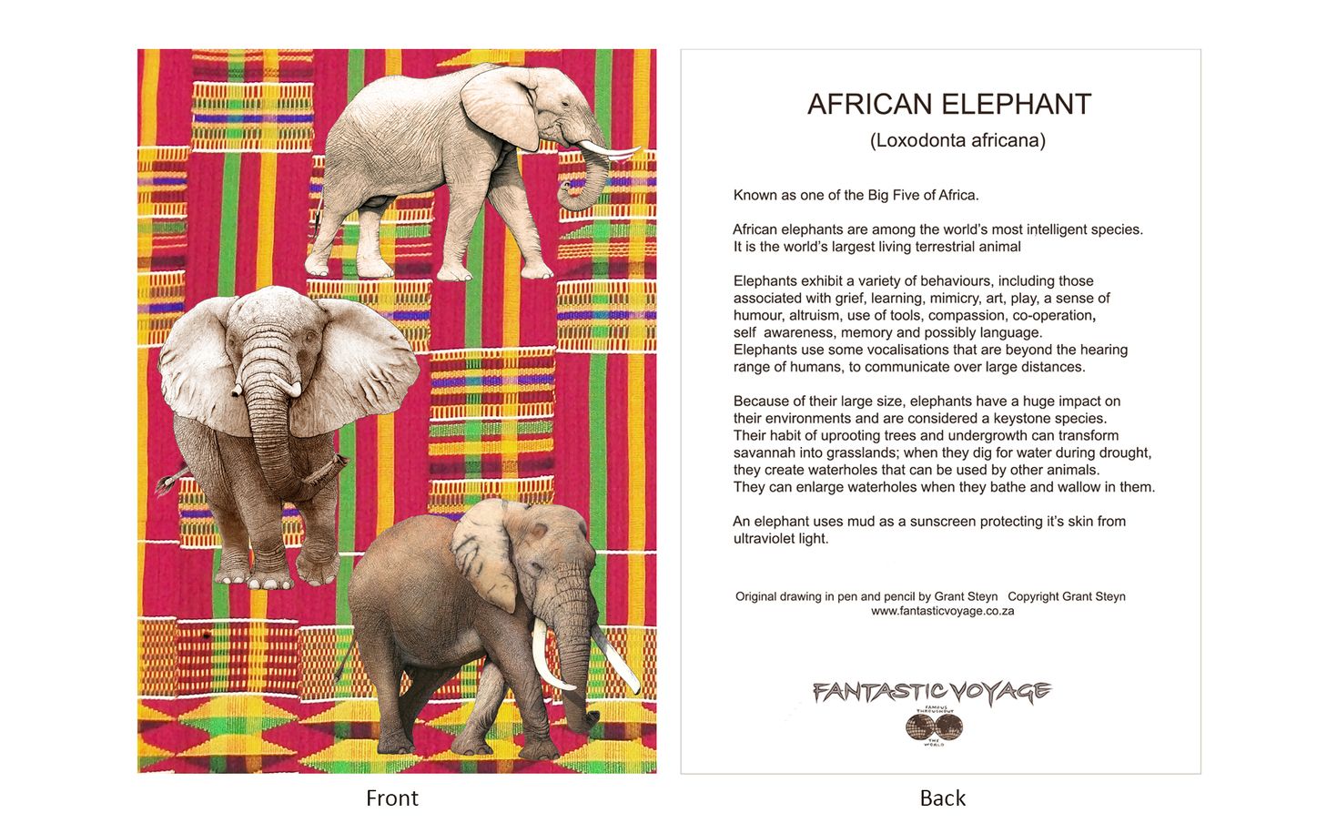DesignerD820202 Elephants Gift Card