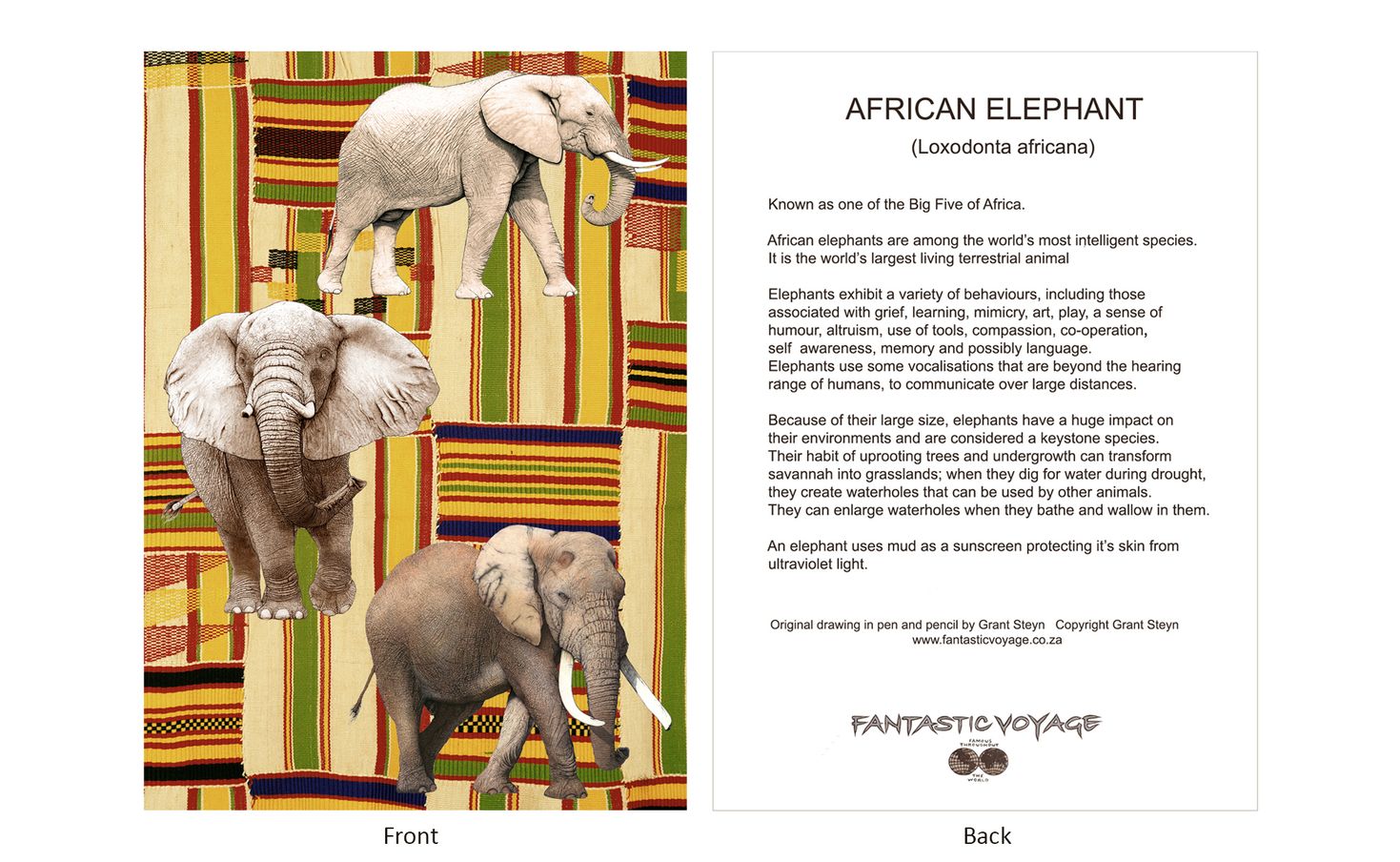 DesignerD820203 Elephants Gift Card