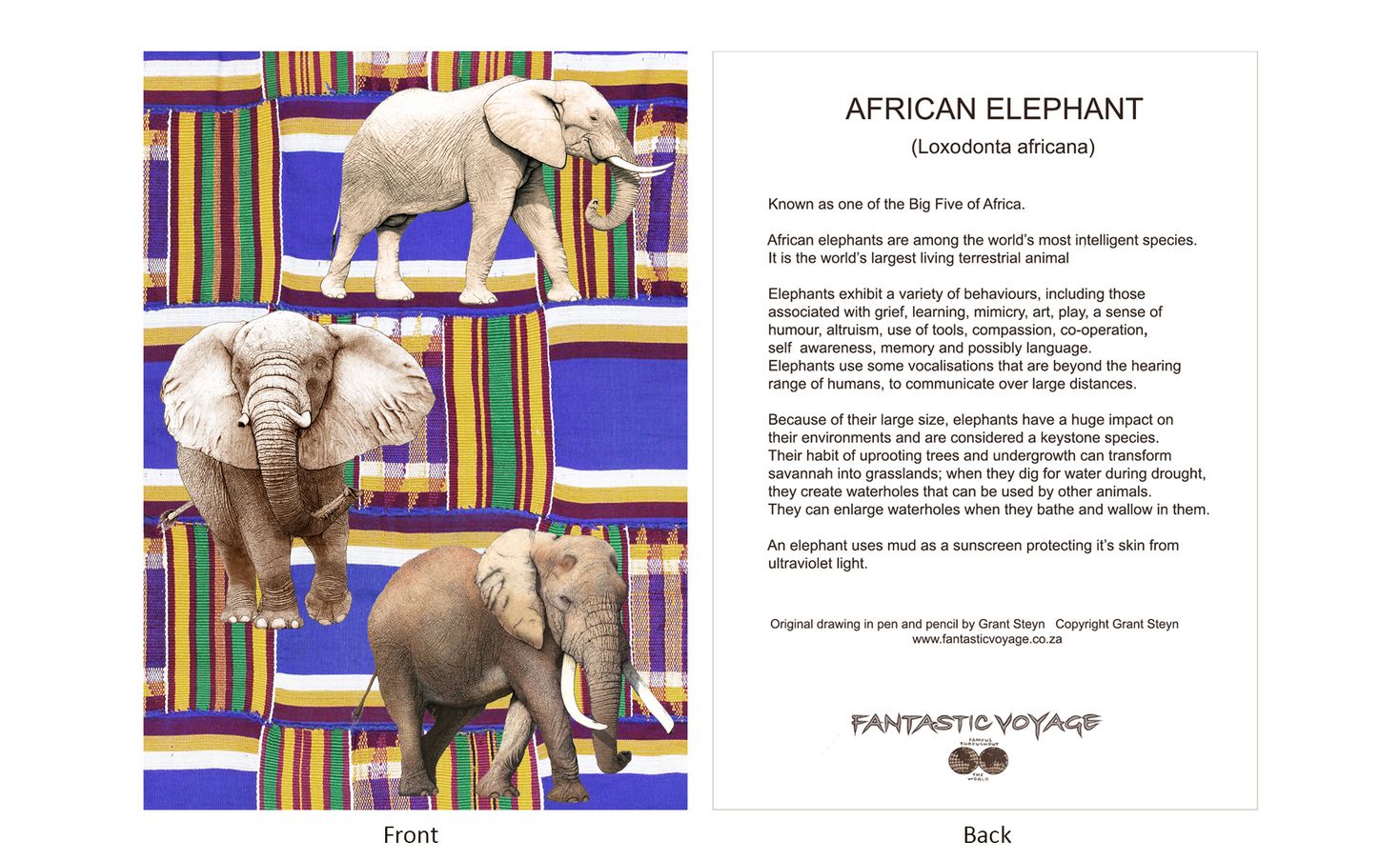 DesignerD820204 Elephants