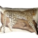 DesignerSB050401110S Leopard