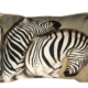 DesignerSB060301110M Two Zebras