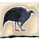 DesignerSB520110110L Vulturine Guinea Fowl