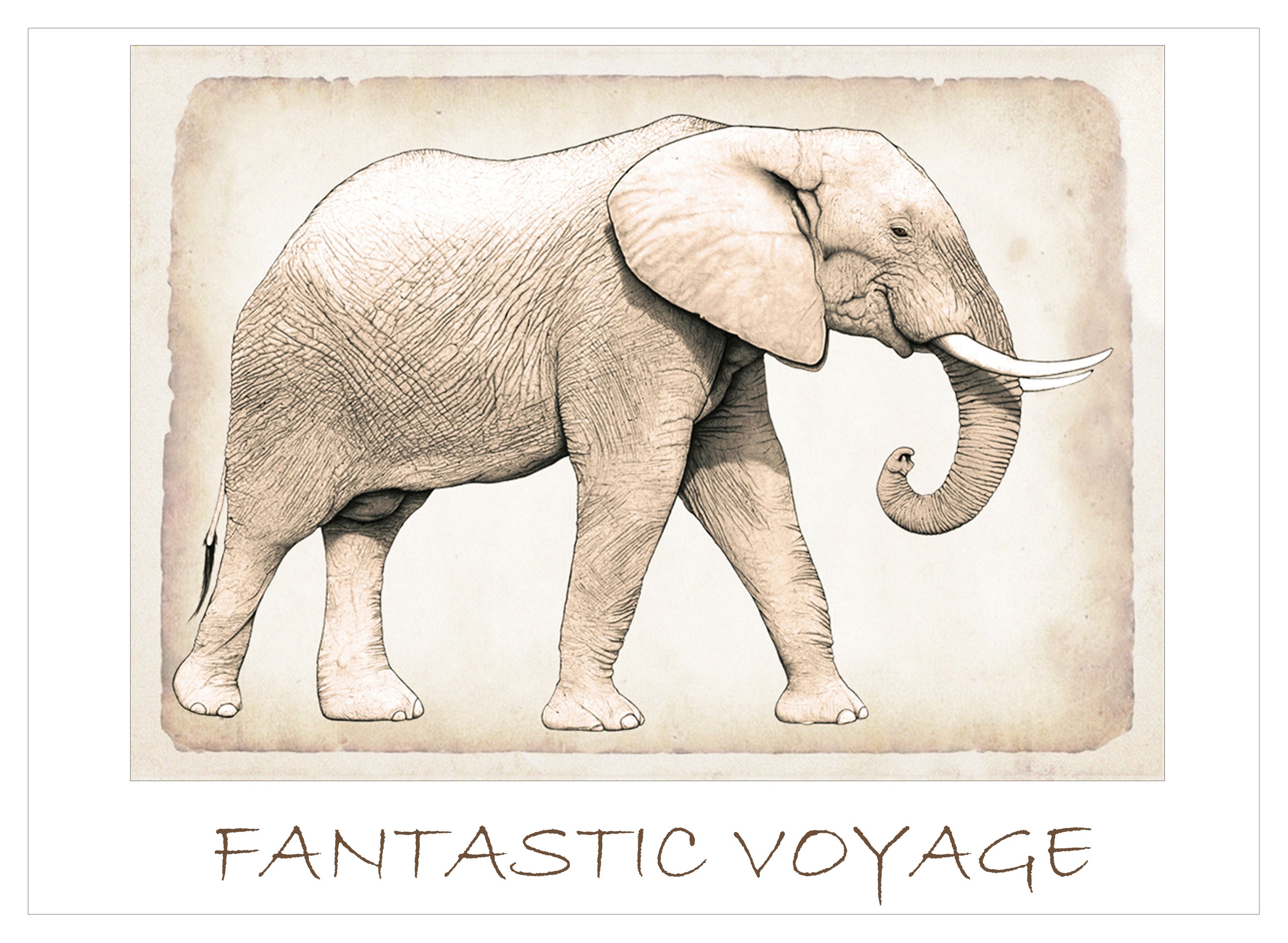 Fantastic Voyage