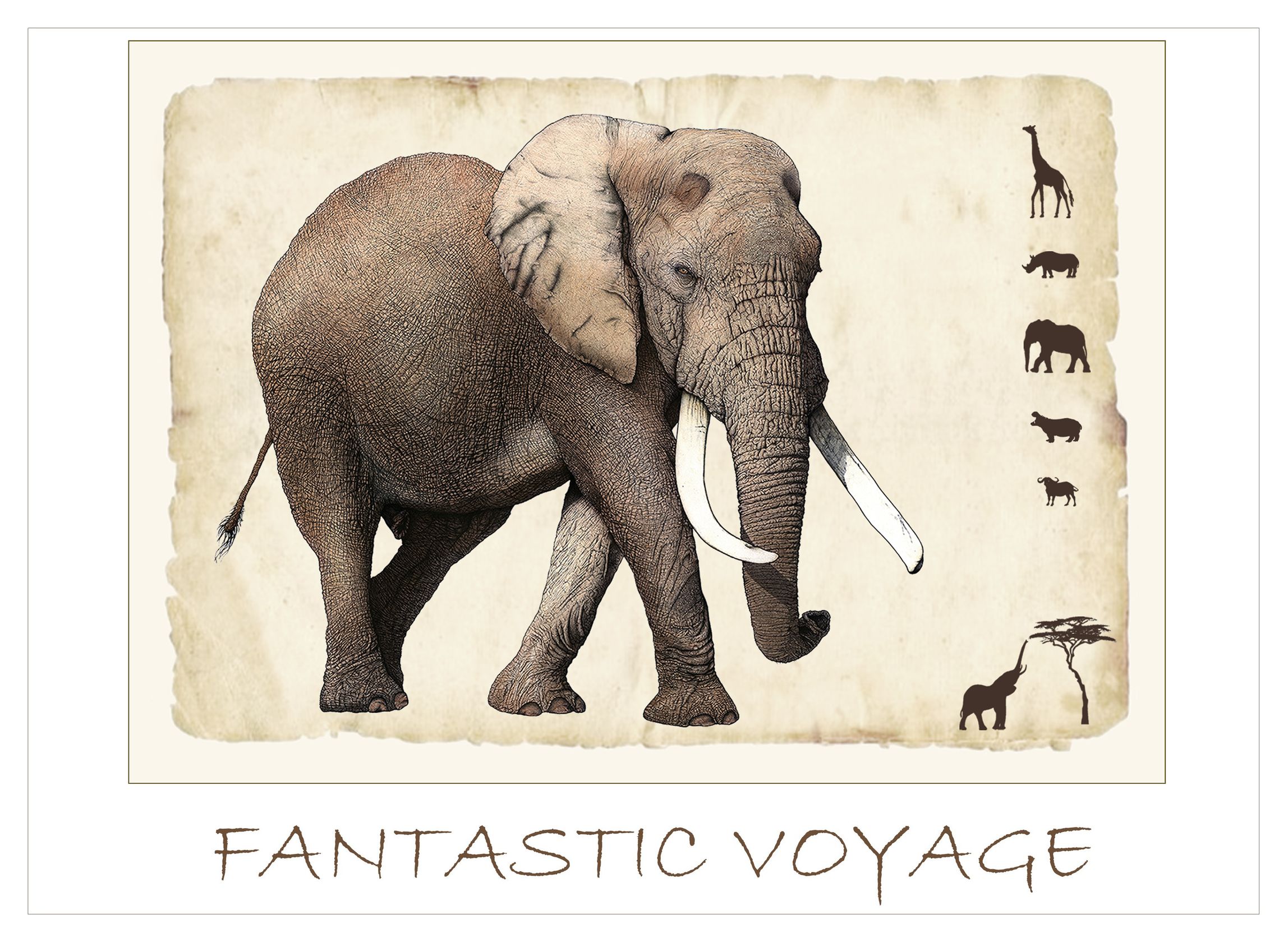 Fantastic Voyage